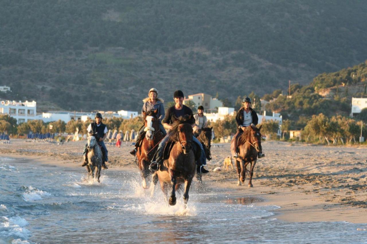 Alianthos Beach Hotel Plakias Bagian luar foto